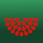 Análisis de la Serie Watermelon: Comparativa de los Mejores Utensilios para Preparar Comida Asiática