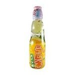 Las Mejores Bebidas Asiáticas: Análisis y Comparativa de Productos Esenciales para Acompañar tu Comida Asiática