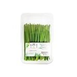 El Cebollino en España: Análisis y Comparativa de los Mejores Productos Asiáticos para Potenciar tus Recetas