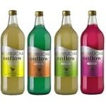 Descubre Kombucha Vitae: Análisis y Comparativa de las Mejores Opciones para Acompañar tus Platillos Asiáticos