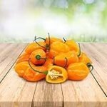 Explorando el Sabor del Habanero Naranja: Análisis y Comparativa de las Mejores Salsas para Realzar tus Platos de Comida Asiática
