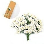 Flores de Lirio en la Cocina Asiática: Análisis y Comparativa de los Mejores Productos para Realizar Platillos Exquisitos