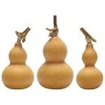 Descubre la Calabaza Oriental: Análisis y Comparativa de los Mejores Productos para Exquisitas Recetas Asiáticas