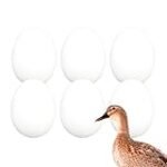 Descubre los Mejores Huevos de Pato para Saborear la Autenticidad de la Cocina Asiática: Análisis y Comparativa
