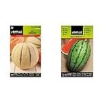 Sandía Chispeante: Análisis y Comparativa de los Mejores Productos para Crear Exquisitos Platos Asiáticos
