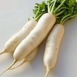Explorando los Mejores Rábanos Japoneses: Análisis y Comparativa para Potenciar tus Recetas Asiáticas