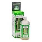 Descubre los Beneficios del Aloe Vera: Análisis de los Mejores Productos para Incorporar en tu Cocina Asiática