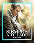 Descubre la Historia de Hachiko y Su Dueño Real: Una Inspiración para Cocinar Comida Asiática con Amor y Pasión Descubre la Historia de Hachiko y Su Dueño Real: Una Inspiración para Cocinar Comida Asiática con Amor y Pasión