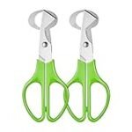 Cómo Cascar un Huevo de Codorniz: Consejos y Mejores Utensilios para Potenciar tus Recetas Asiáticas