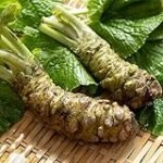 Semilla de Wasabi: Análisis y Comparativa de los Mejores Productos para Llevar tu Cocina Asiática al Siguiente Nivel