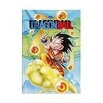 Los Mejores Posters de Goku para Inspirar tu Cocina Asiática: Análisis y Comparativa de Estilos y Temáticas