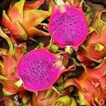 Semillas de Pitaya: Análisis y Comparativa de los Mejores Productos para Potenciar tus Recetas Asiáticas Semillas de Pitaya: Análisis y Comparativa de los Mejores Productos para Potenciar tus Recetas Asiáticas