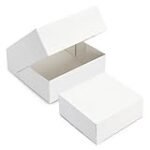Las Mejores Cajas de Pastel para Presentar tus Delicias Asiáticas: Análisis y Comparativa de Productos