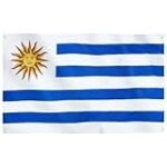 Fusión Gastronómica: Análisis y Comparativa de Productos Asiáticos para Preparar Platos Típicos de Uruguay