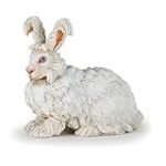 Descubre la Versatilidad de la Angora Conejos: Comparativa de los Mejores Utensilios para Preparar Comida Asiática Descubre la Versatilidad de la Angora Conejos: Comparativa de los Mejores Utensilios para Preparar Comida Asiática