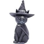 Las Mejores Figuras de Gato: Una Guía para Elegir Utensilios Inspirados en el Arte Asiático de Cocinar