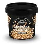 Mostaza Semilla: Comparativa de las Mejores Opciones para Potenciar tus Recetas de Comida Asiática