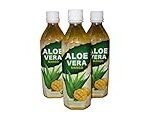 Descubre los Mejores Productos de Aloe Vera y Mango para Enriquecer tus Recetas Asiáticas