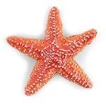 Modelo Estrellas: Análisis y Comparativa de los Mejores Utensilios para Preparar Comida Asiática Modelo Estrellas: Análisis y Comparativa de los Mejores Utensilios para Preparar Comida Asiática
