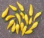Descubre el Aji Limo Peruano: Comparativa de los Mejores Productos para Realzar tus Platos Asiáticos