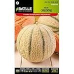 Descubre el Jp Melon: Análisis y Comparativa de los Mejores Productos Asiáticos para Realzar tus Platos Descubre el Jp Melon: Análisis y Comparativa de los Mejores Productos Asiáticos para Realzar tus Platos