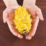 Semillas de Pitahaya: Explorando su Uso y Beneficios en la Cocina Asiática