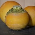 Descubre el Nabo Amarillo: Análisis y Comparativa de los Mejores Productos para Realizar Auténtica Comida Asiática